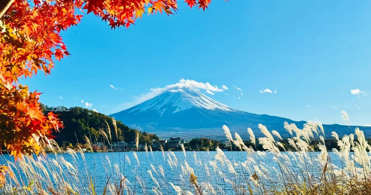 Mount Fuji Kamakura 2 Day Tour From Tokyo Accommodation Not 